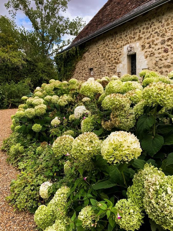 Le Manoir De Maucartier Bed and Breakfast Monnaie Buitenkant foto